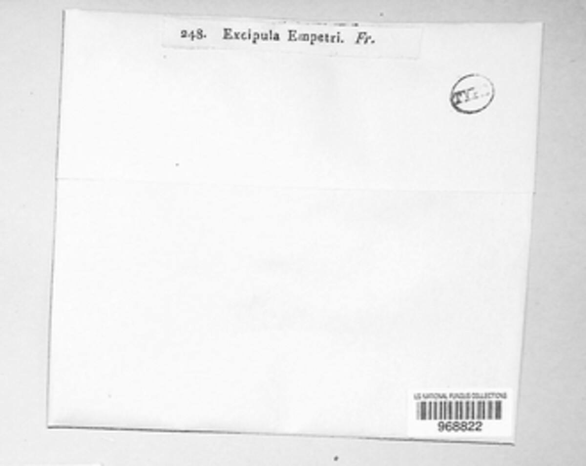 Excipula empetri image